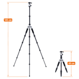 Stativ | Carbon | Compact Traveler No. 1